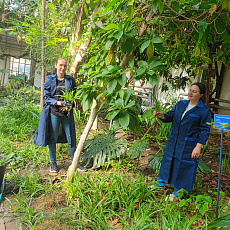 Участники студенческих строительных отрядов осваивают рабочую профессию «Садовник»